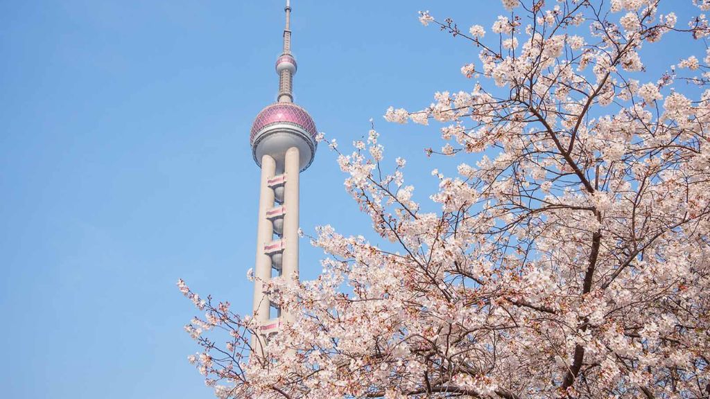 xr:d:DAFVKZcmHCs:144,j:44096409840,t:22122308