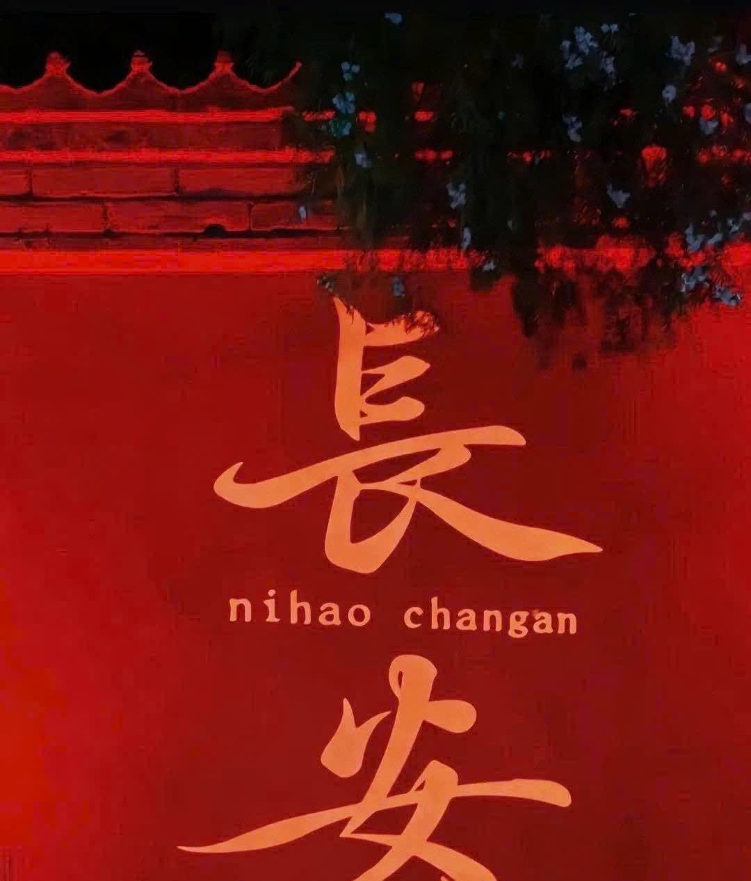 z7307299221099_c56b070fdc64b82676ea72fd6e931857