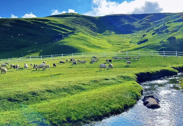 Screenshot 2024-12-19 165512