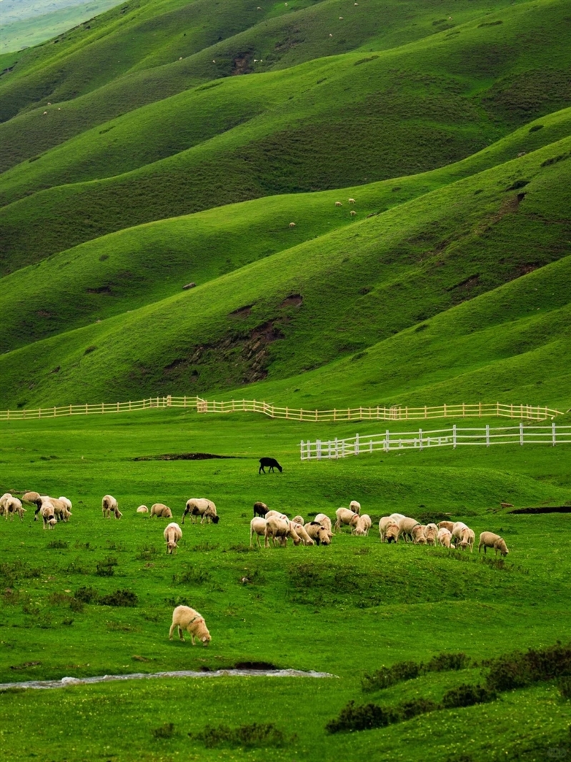 dai_hai_thao_son_van_nam_trung_quoc_du_lich_anz_6