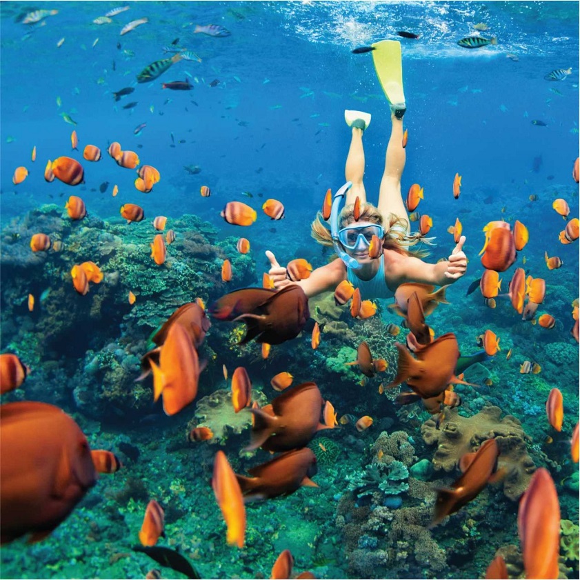Explore-the-stunning-underwater-world-of-Nha-Trang-snorkeling-at-Monkey-Island